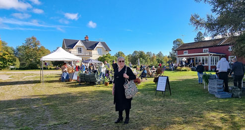 Formstråket